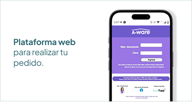 plataforma web
